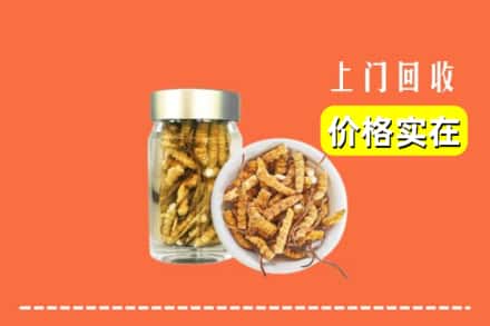 昌图县回收散虫草