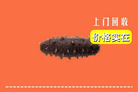 昌图县回收海参