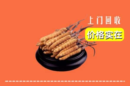 昌图县回收冬虫夏草