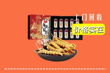 昌图县回收虫草